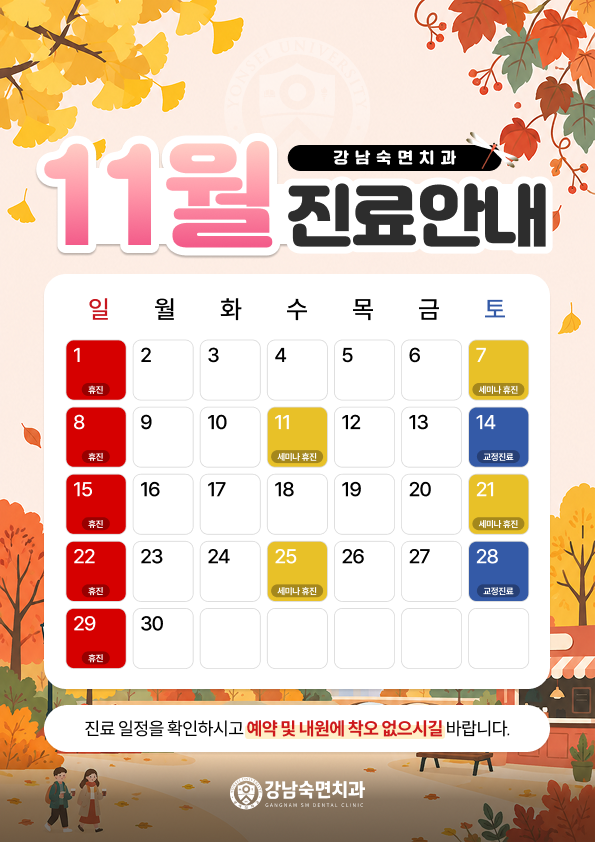 11월 진료안내